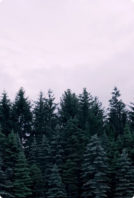 trees